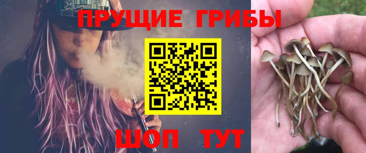 Псилоцибиновые грибы MAGIC MUSHROOMS Семёнов