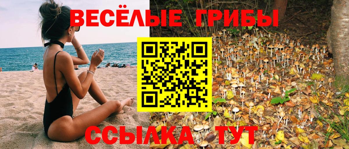 Семёнов  Псилоцибиновые грибы Cubensis  хочу   Вход с VPN 